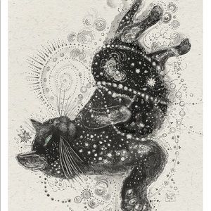 Meet your Posher, Faith